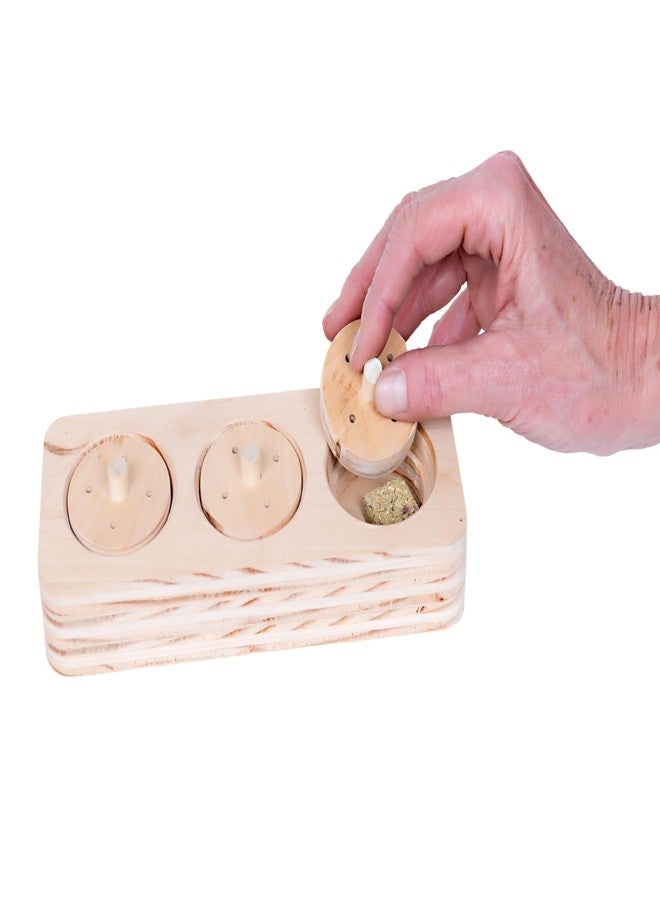 Small Pet Select- Wooden Lid Puzzle - Image 3