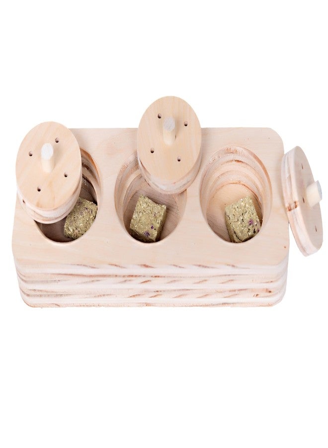 Small Pet Select- Wooden Lid Puzzle - Image 5