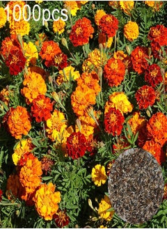 Green Garden Flower Plants-100Pcs Mixed Marigold Seeds Ornamental Plant Flower Garden Office Balcony Decor - Marigold Seeds