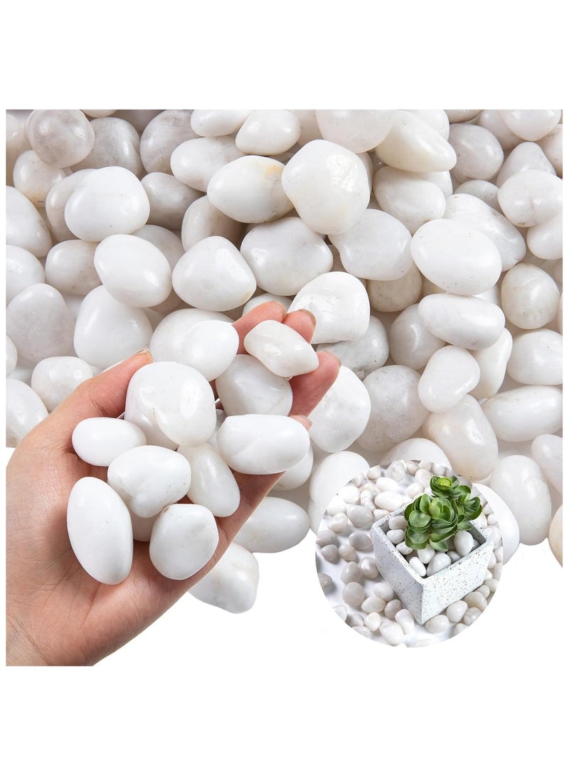 Home zone 20lb (9 KG) White River Rock- High Polished Pebbles for Indoor Plants- Decorative Stones for Aquarium Fish Tank - White Rocks for Outdoor Garden Landscaping - 1-3 cm  - Image 1