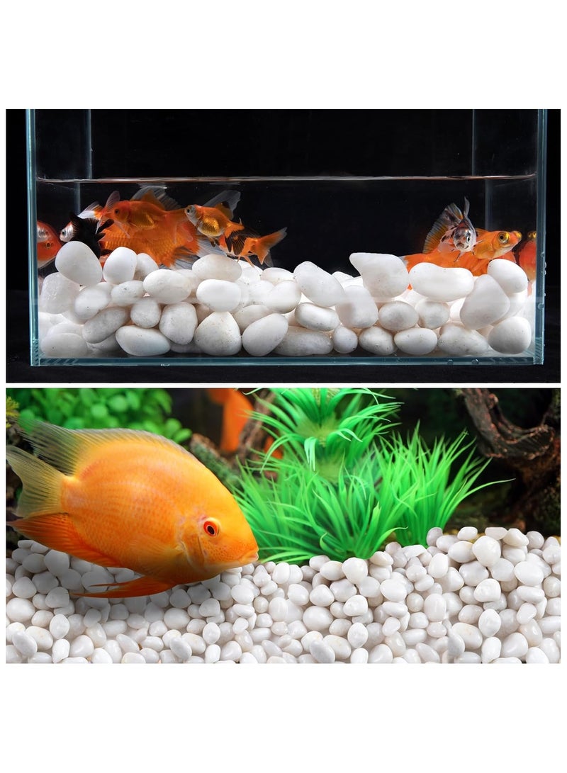 Home zone 20lb (9 KG) White River Rock- High Polished Pebbles for Indoor Plants- Decorative Stones for Aquarium Fish Tank - White Rocks for Outdoor Garden Landscaping - 1-3 cm  - Image 3