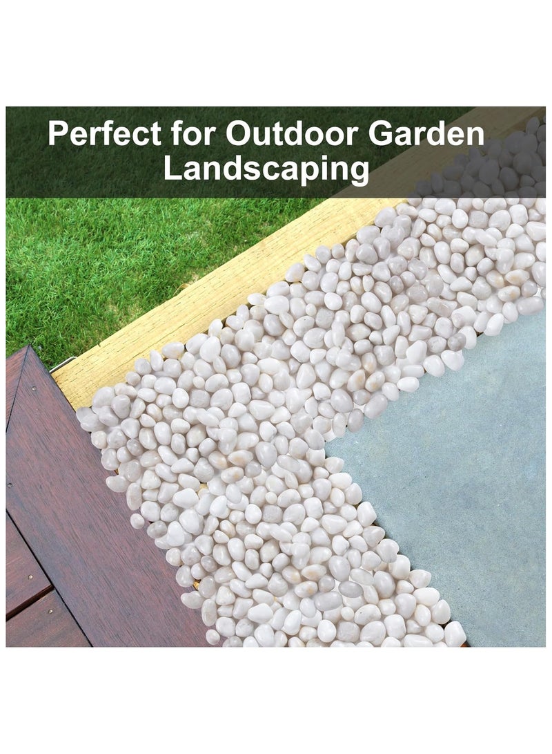 Home zone 20lb (9 KG) White River Rock- High Polished Pebbles for Indoor Plants- Decorative Stones for Aquarium Fish Tank - White Rocks for Outdoor Garden Landscaping - 1-3 cm  - Image 4