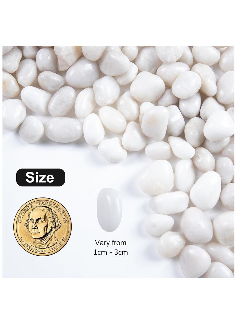 Home zone 20lb (9 KG) White River Rock- High Polished Pebbles for Indoor Plants- Decorative Stones for Aquarium Fish Tank - White Rocks for Outdoor Garden Landscaping - 1-3 cm  - Image 2