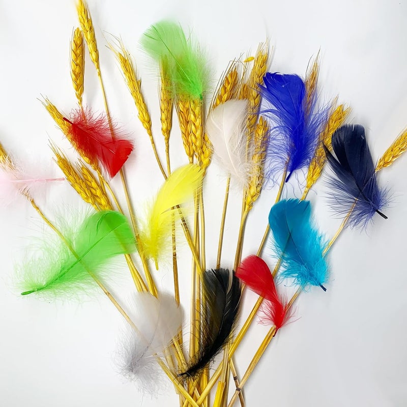 Flying feathers Light Purple 600pcs Colorful Feathers 20 Colors Craft Feathers 3-5 Inches Assorted Rainbow Colors Feathers for Kids Handmade Wedding DIY Decorations Natural Feather - Image 5