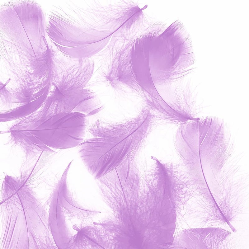 Flying feathers Light Purple 600pcs Colorful Feathers 20 Colors Craft Feathers 3-5 Inches Assorted Rainbow Colors Feathers for Kids Handmade Wedding DIY Decorations Natural Feather - Image 1