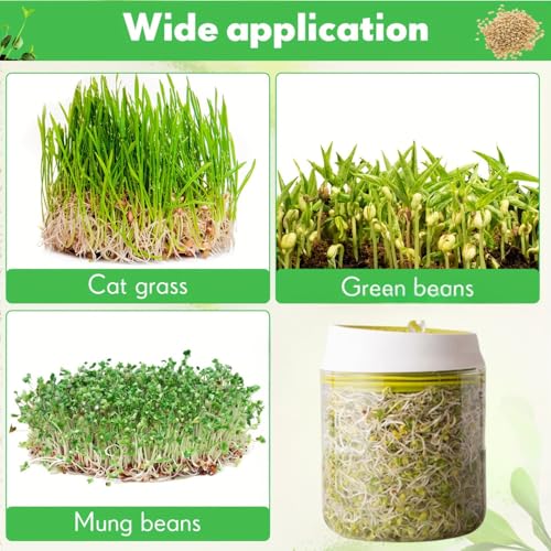SHOPVILLA Multi Use Sprouts Maker Box - Countertop Sprouter Growing Kit|sprouts Maker Box with Stainless Steel Pipe, Sprouts Jar with Mesh Lid for All Seeds & Beans, Sprouts Making Box For All Season - Image 2