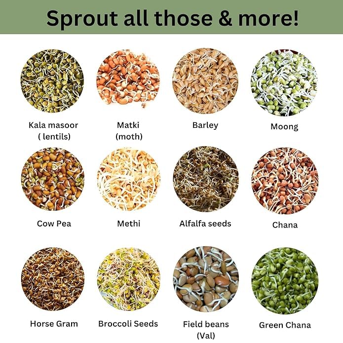 SHOPVILLA Multi Use Sprouts Maker Box - Countertop Sprouter Growing Kit|sprouts Maker Box with Stainless Steel Pipe, Sprouts Jar with Mesh Lid for All Seeds & Beans, Sprouts Making Box For All Season - Image 3