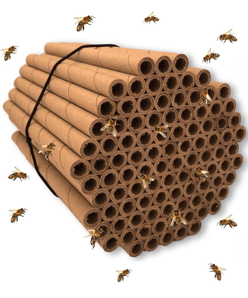 Merhoff & Larkin Mason Bee Tubes | 100 Pack of 6 inch Long by 5/16 Inner Diameter Hole Cardboard Bee House Tubes | Great Paper Refills or Inserts/Liners for a B House, Condo, Hotel, or Nest - Image 1