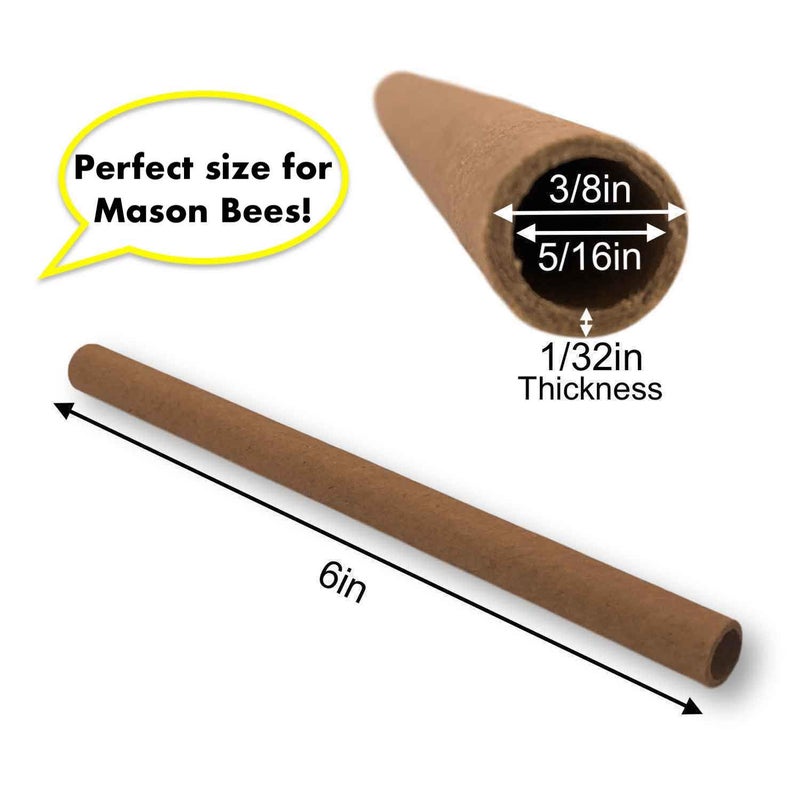 Merhoff & Larkin Mason Bee Tubes | 100 Pack of 6 inch Long by 5/16 Inner Diameter Hole Cardboard Bee House Tubes | Great Paper Refills or Inserts/Liners for a B House, Condo, Hotel, or Nest - Image 2