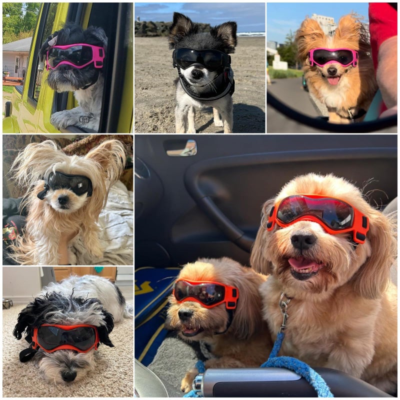PETLESO Small Breed Dog Goggles, Sunglasses with UV Protection, Adjustable Straps - Orange - Image 5