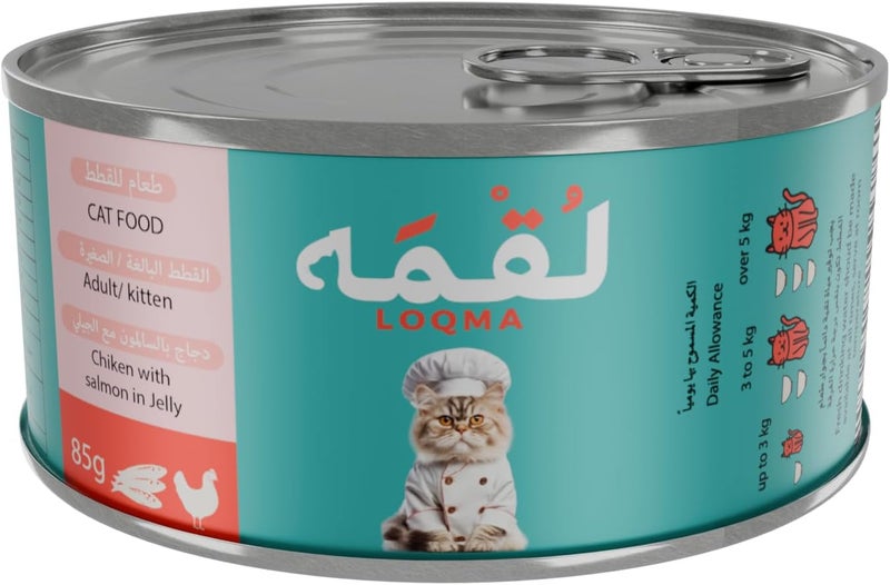 Loqma Chicken with Salmon in Jelly Cat Food - Image 2