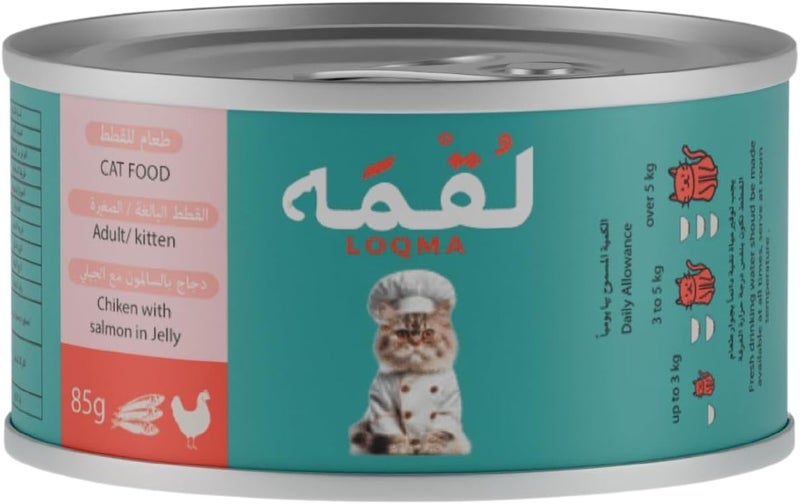 Loqma Chicken with Salmon in Jelly Cat Food - Image 1