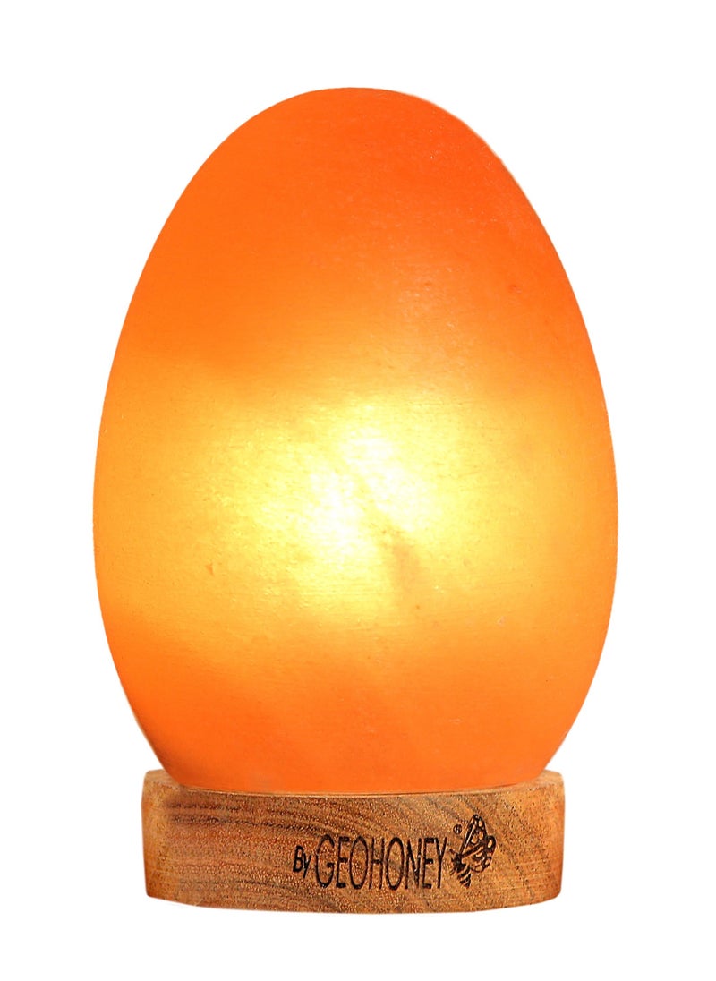 Geohoney - Himalayan Salt Lamp Egg Shape - pzsku/Z13FEF0ECA4BFE8E38F4CZ/45/_/1688651925/e3b122ce-7cc7-474c-98da-cd80e0259207