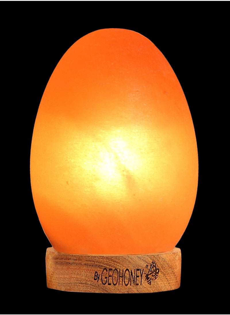 Geohoney - Himalayan Salt Lamp Egg Shape - pzsku/Z13FEF0ECA4BFE8E38F4CZ/45/_/1688651926/246b88f7-c254-4332-a50e-630f35473031