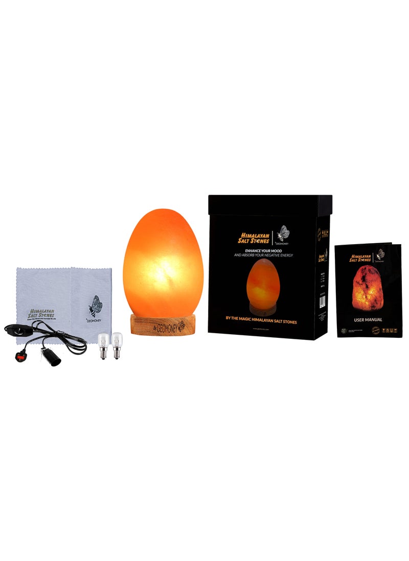 Geohoney - Himalayan Salt Lamp Egg Shape - pzsku/Z13FEF0ECA4BFE8E38F4CZ/45/_/1688651927/c5a3e863-ccad-4399-84da-c9b989f230a0