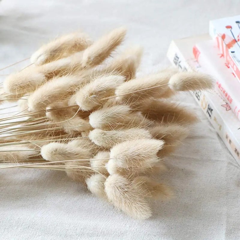 Bluejw Natural Dried Flowers Bouquet - Pampas Grass, Bunny Tails & Lagurus Ovatus - High Quality Rabbit Tails Grass for Home Wedding Boho Decor & Dried Plants Arrangement - Image 2