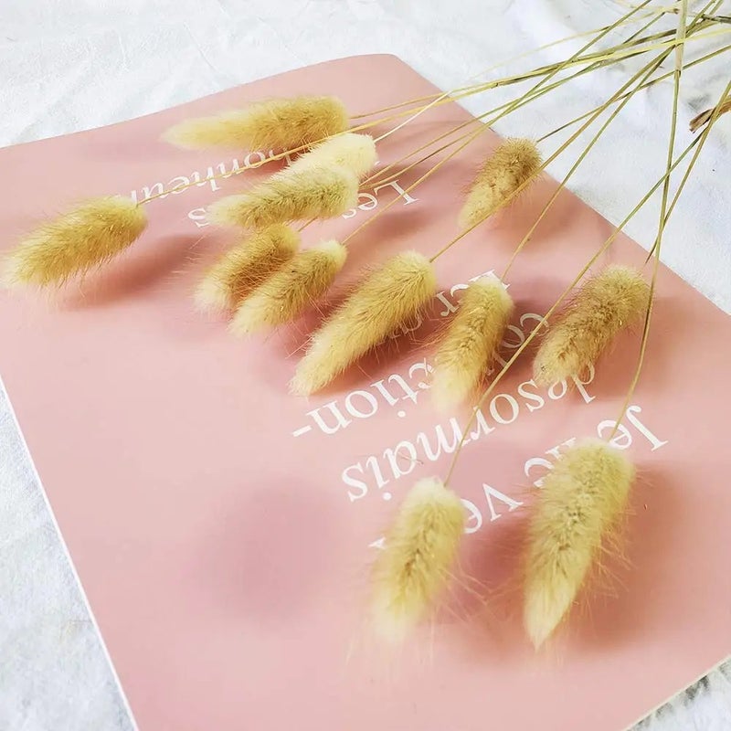 Bluejw Natural Dried Flowers Bouquet - Pampas Grass, Bunny Tails & Lagurus Ovatus - High Quality Rabbit Tails Grass for Home Wedding Boho Decor & Dried Plants Arrangement - Image 4
