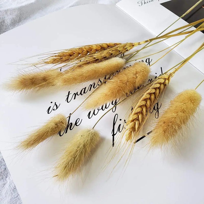 Bluejw Natural Dried Flowers Bouquet - Pampas Grass, Bunny Tails & Lagurus Ovatus - High Quality Rabbit Tails Grass for Home Wedding Boho Decor & Dried Plants Arrangement - Image 5