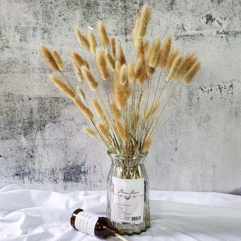 Bluejw Natural Dried Flowers Bouquet - Pampas Grass, Bunny Tails & Lagurus Ovatus - High Quality Rabbit Tails Grass for Home Wedding Boho Decor & Dried Plants Arrangement - Image 3