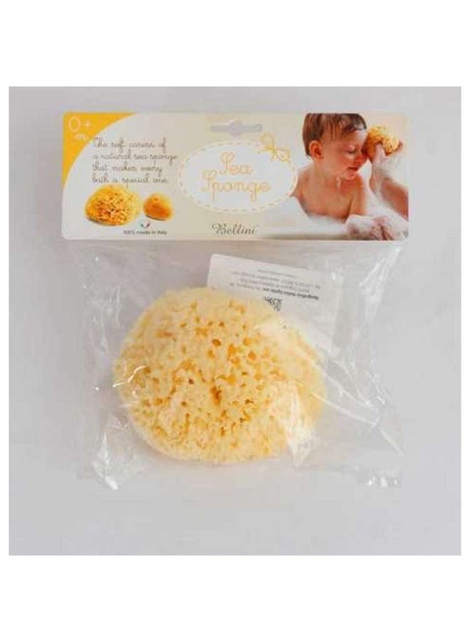 Bellini إسفنجة بحرية طبيعية على شكل قرص العسل صغيرة - Image 2