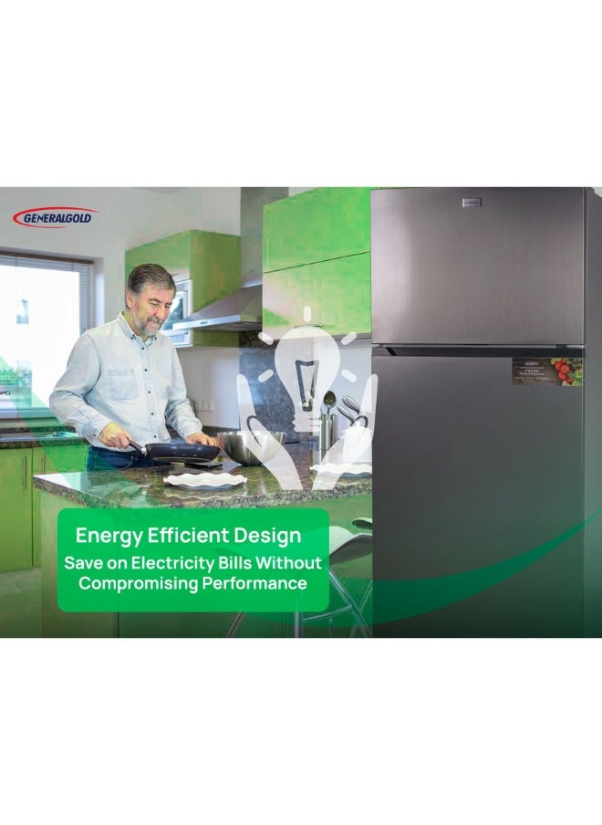 General Gold Double Door Refrigerator, Energy Efficient, Defrost System, LED Light, Sleek Inox Finish