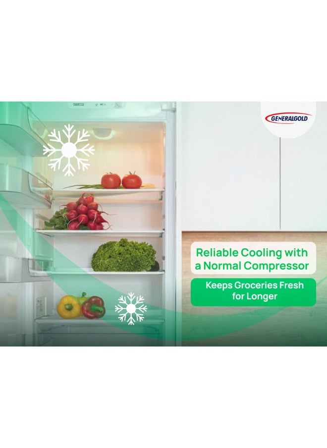 General Gold Double Door Refrigerator, Energy Efficient, Defrost System, LED Light, Sleek Inox Finish