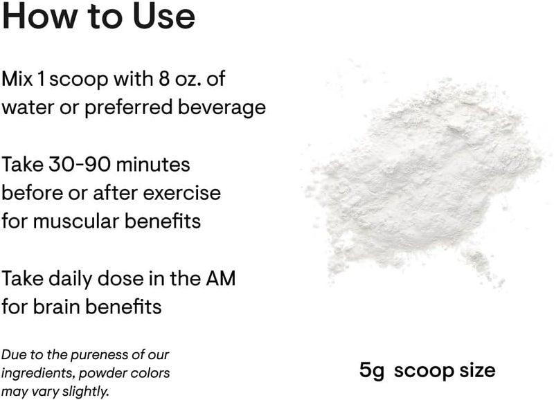 Thorne ثورني كرياتين مسحوق كرياتين مونوهيدرات ميكرونيزيد دعم الأحماض الأمينية للعضلات الطاقة الخلوية الوظيفة الإدراكية بدون نكهة معتمد من NSF للرياضة 5 جرام لكل حصة 90 حصة - Image 3