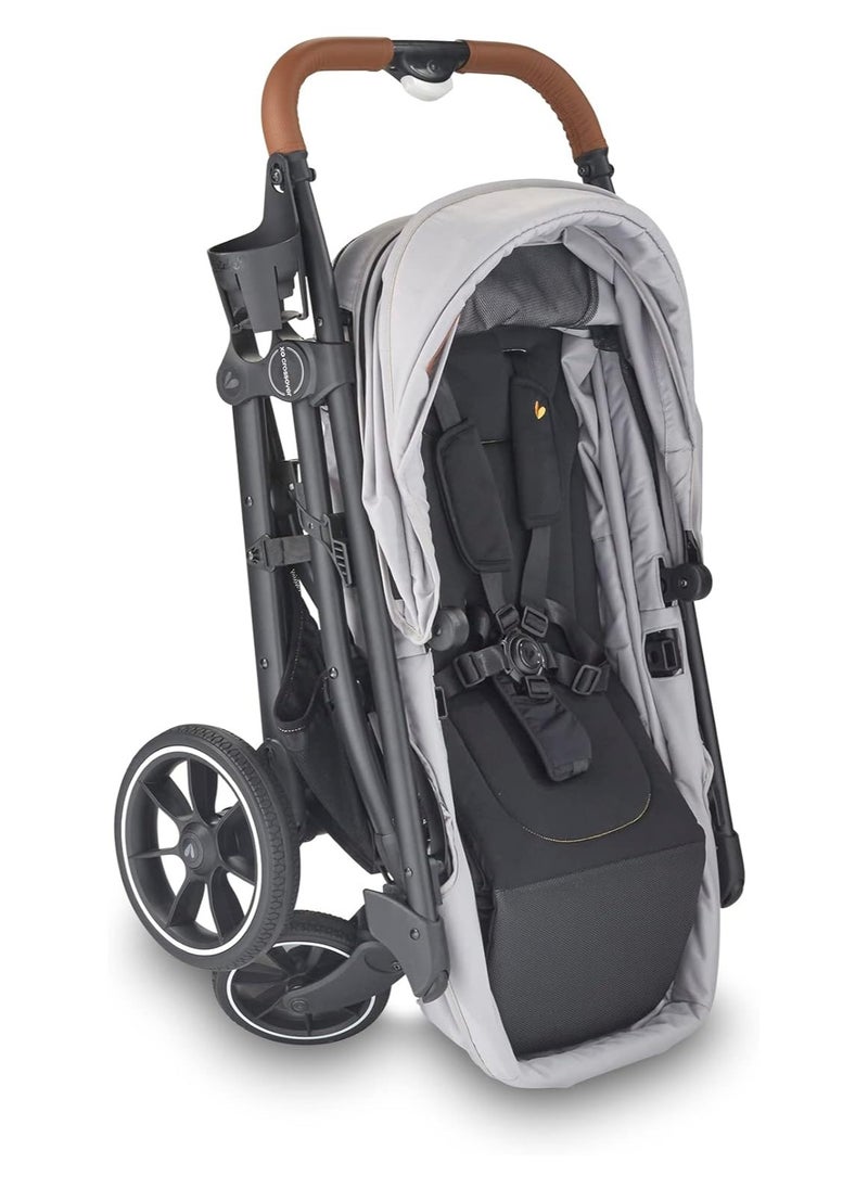 larktale - Larktale Crossover All-In-One Stroller And Wagon - Convert From A Single Baby Stroller To a Two Seater Pull Wagon Wth Canopy - Image 1