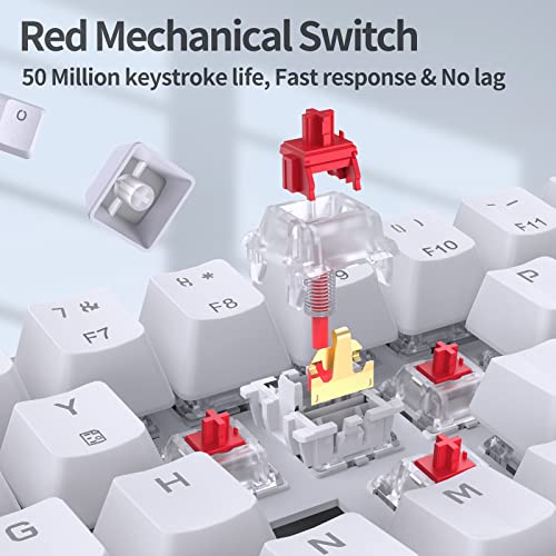 TMKB Technology Mechanical KeyBoard TMKB T68SE Gaming Keyboard, 60% Mechanical Keyboard, LED Backlit Ultra-Compact 68 Keys Wired Mini Keyboard with Separate Arrow/Control Keys for Windows Laptop PC Gamer Typist with Red Switch-White - Image 3