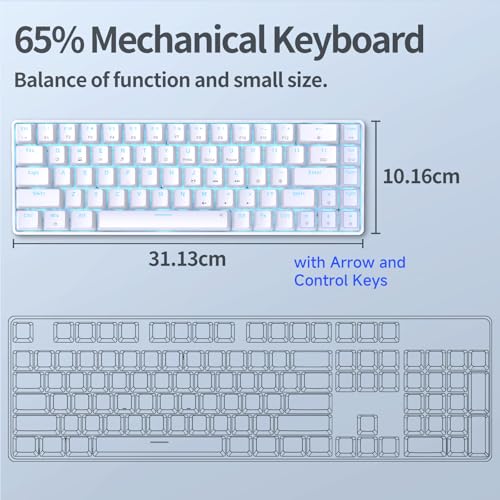TMKB Technology Mechanical KeyBoard TMKB T68SE Gaming Keyboard, 60% Mechanical Keyboard, LED Backlit Ultra-Compact 68 Keys Wired Mini Keyboard with Separate Arrow/Control Keys for Windows Laptop PC Gamer Typist with Red Switch-White - Image 2