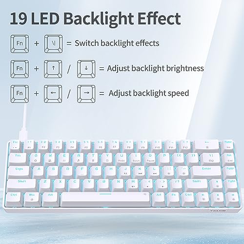 TMKB Technology Mechanical KeyBoard TMKB T68SE Gaming Keyboard, 60% Mechanical Keyboard, LED Backlit Ultra-Compact 68 Keys Wired Mini Keyboard with Separate Arrow/Control Keys for Windows Laptop PC Gamer Typist with Red Switch-White - Image 4