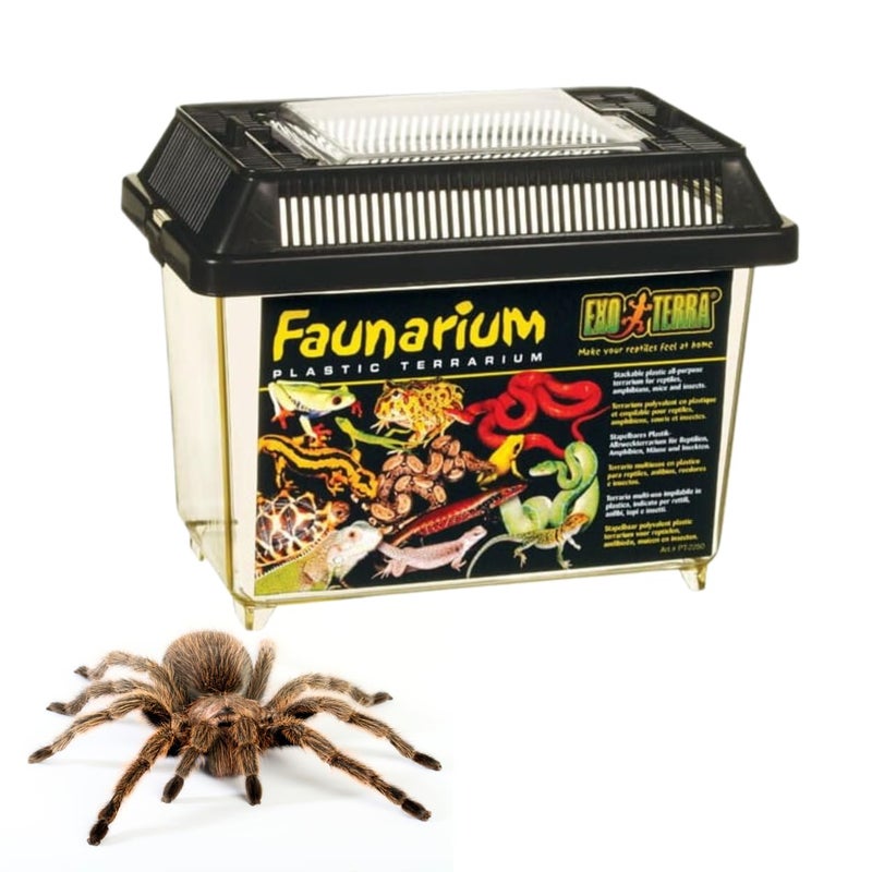 Exo Terra Faunarium, Plastic Reptile Terrarium, Small, PT2255 - Image 1