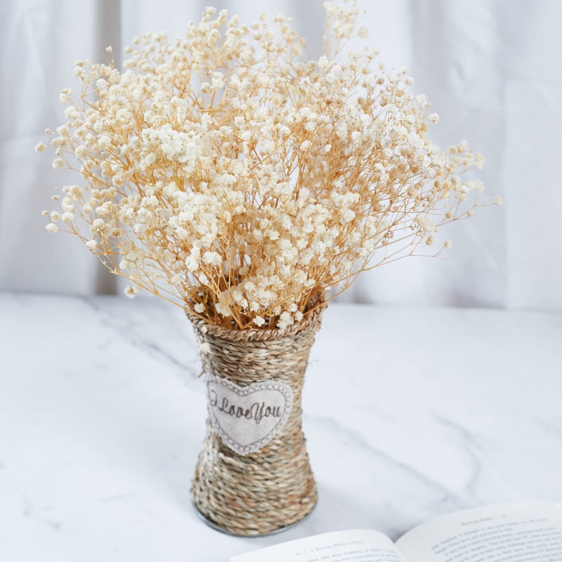 Birtlynn Preserved Baby's Breath 3 Bunches  100% Natrual Fresh Gypsophila Long Lasting Flowers for Vase Arrangements Home Decoration Photo Props Parties and Weddings  DIY D?cor-White - Image 5