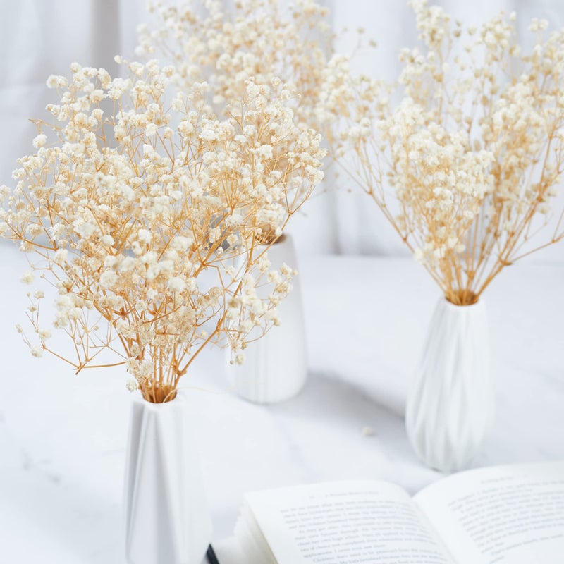 Birtlynn Preserved Baby's Breath 3 Bunches  100% Natrual Fresh Gypsophila Long Lasting Flowers for Vase Arrangements Home Decoration Photo Props Parties and Weddings  DIY D?cor-White - Image 4