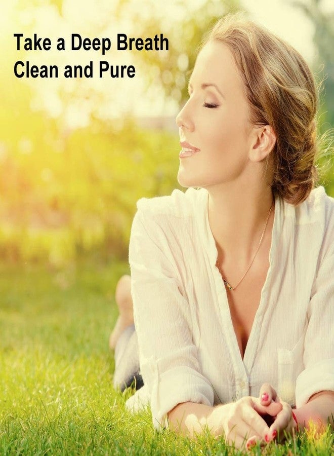 WoodyKnows Ultra-Breathable Nasal Filters, Seasonal and dust Allergies aid (Trial, Narrow, S/M/L/XL) - Image 2