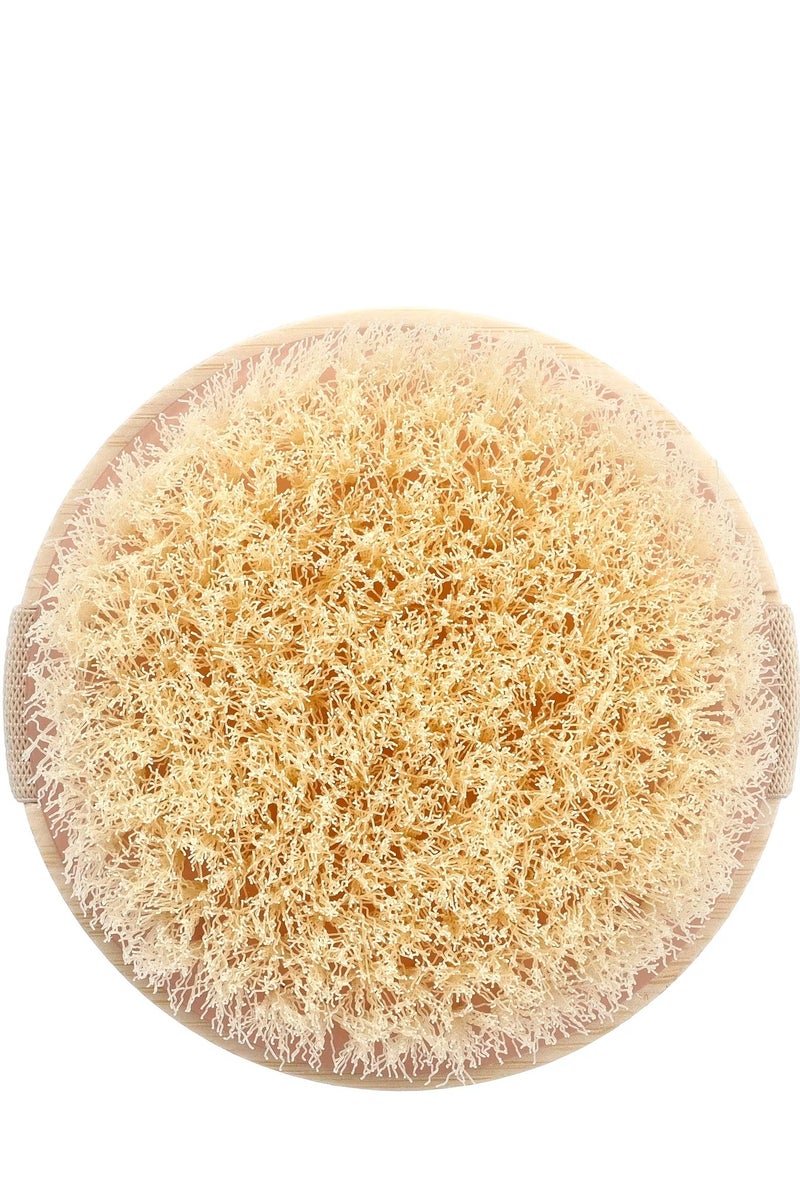 إيكوتولز فرشاة الجسم الجافة - Image 2