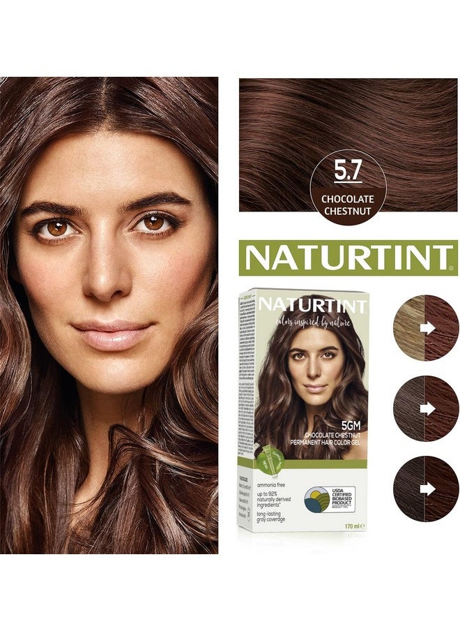 NATURTINT Permanent Hair Colour Chocolate Brown 5Gm | 92% Natural Ingredients | 100% Grey Coverage Long Lasting Hair Color | Usda Certified | Ammonia Free Hair Color Gel 5Gm Chocolate Chestnut 170Ml  - Image 2