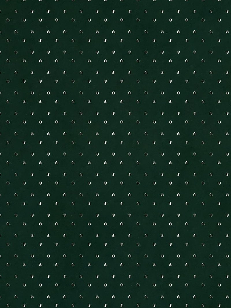 Satrani Women's Georgette Stone Work Saree with Unstitched Blouse Piece (4085S192N_Dark Green2) - Image 5