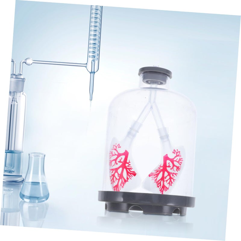 Human Lung Breathing Model Adjustable Diaphragm Motion Anatomy Display for Student Biology Experiments - Image 5