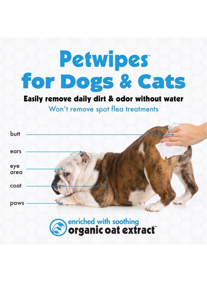 Petkin Pet Wipes for Dogs and Cats, 400 Wipes - Large Pet Wipes for Dogs and Cats - Cleans Ears, Face, Butt, Body and Eye Area - Convenient, Ideal for Home or Travel - 4 Packs of 100 Wipes - Image 3