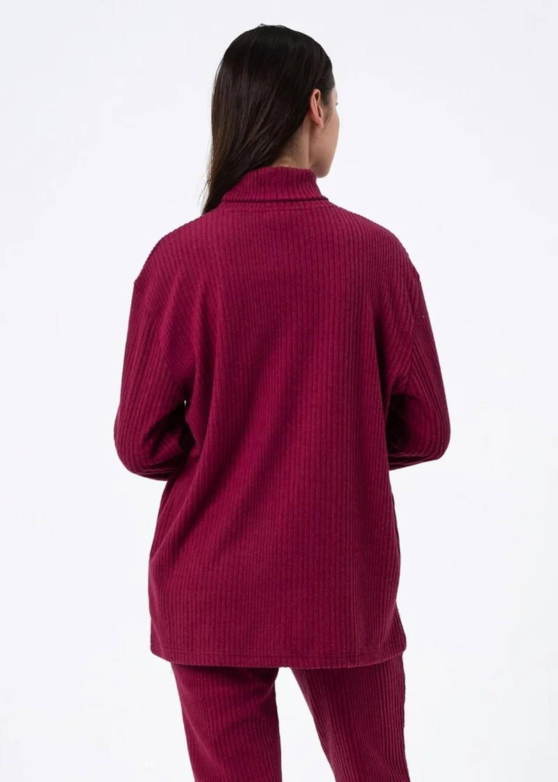 Alexander Gardi Turtleneck Sweater (B22-730A)
