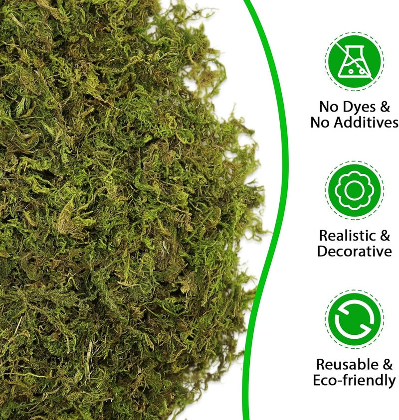 Riare 7OZ Artificial Fake Moss for Fake Plants Indoor- Premium Faux Craft Moss for Potted Plant, Fresh Forest Green for Hamsters Micro-Landscape Terrariums Centerpieces Decor - Image 3