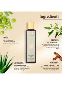 MELLOW Herbal Aloe Vera Shampoo For Dry & Damaged Hair, Hydrating Shampoos With Natural Aloevera, Amla, Reetha, Shikakai & Bhringraj, 100% Chemical Free, Ayush Certified [100Ml]  - Image 2