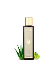 MELLOW Herbal Aloe Vera Shampoo For Dry & Damaged Hair, Hydrating Shampoos With Natural Aloevera, Amla, Reetha, Shikakai & Bhringraj, 100% Chemical Free, Ayush Certified [100Ml]  - Image 1