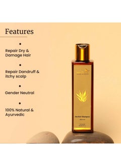 MELLOW Herbal Aloe Vera Shampoo For Dry & Damaged Hair, Hydrating Shampoos With Natural Aloevera, Amla, Reetha, Shikakai & Bhringraj, 100% Chemical Free, Ayush Certified [100Ml]  - Image 3