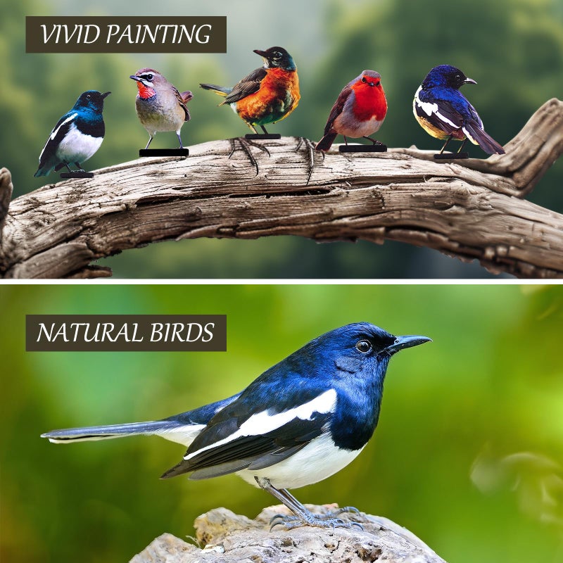 HUYIENO 5PCS Vivid Metal Birds Fence Decor Color Painted Outdoor Garden Natural Bird 2D Sculptures for Outdoor Fences, Patio, Garden and Bird Lovers - Image 2