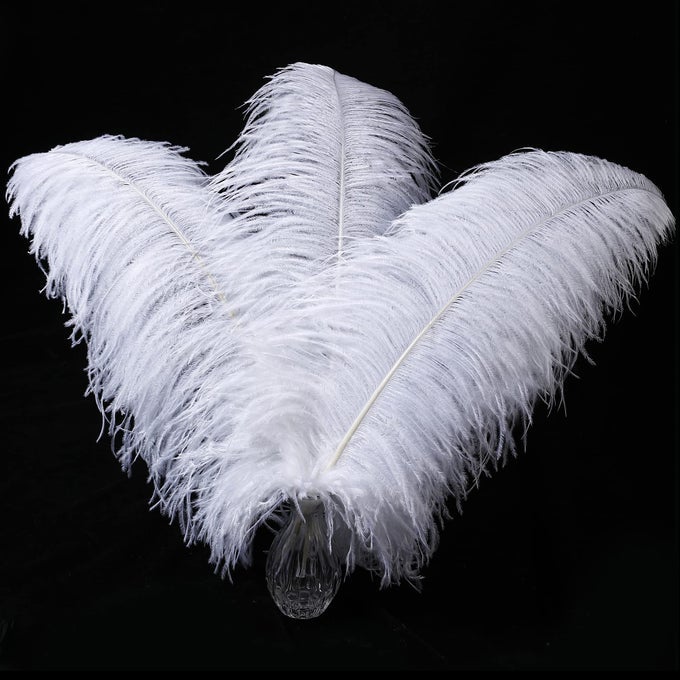 WHITE LARGE OSTRICH FEATHERS 1618 INCH 10PCS FEATHERS FOR VASEWEDDING PARTY CENTERPIECES AND HOME DECORATIONS WHITE