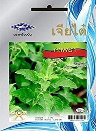seeds Germination seeds: 3: 960 seeds Lettuce Chia Tai Thai Vegetable Yard Garden Plant Kitchen Cooking Food - pzsku/Z14122511C1A0BD0D57E7Z/45/_/1740894731/2f07376c-9668-483d-b4ff-1318b6a4c27d