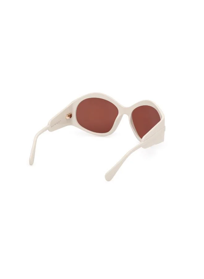 MAXCO  Injected Shaped Sunglasses for Women | Best Price UAE