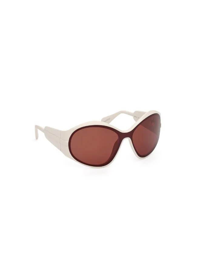 MAXCO  Injected Shaped Sunglasses for Women | Best Price UAE